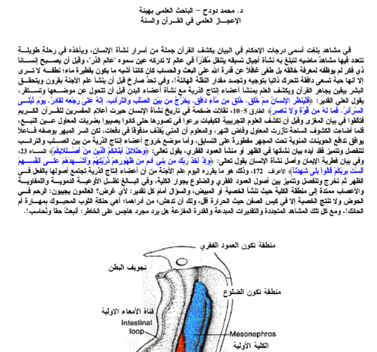 نشأة الذرية بينة علمية في القران الكريم