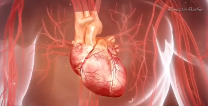 سوف يتركك عاجزًا عن الكلام | السر الأعظم | رائعة مصطفي محمود