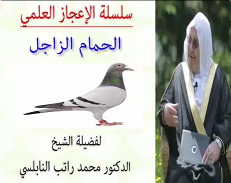 الإعجاز العلمي في الحمام الزاجل للدكتور محمد راتب النابلسي