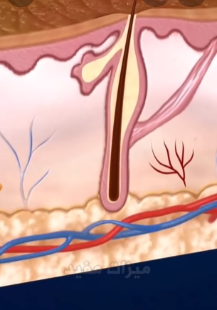 إكتشاف علمي يحير العلماء في جلد الإنسان