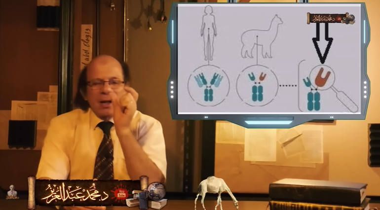 لماذا أمرنا الله بالنظر في خلق الإبل ؟ ما وجدوه في دم الإبل صدم علماء الغرب . بعضهم بكى !!!