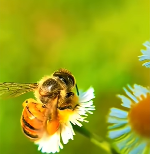 "الإعجاز العلمي في سورة النحل | حقائق مذهلة كشفها القرآن قبل العلم!